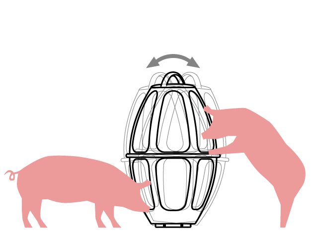 schweine_schematisch_2